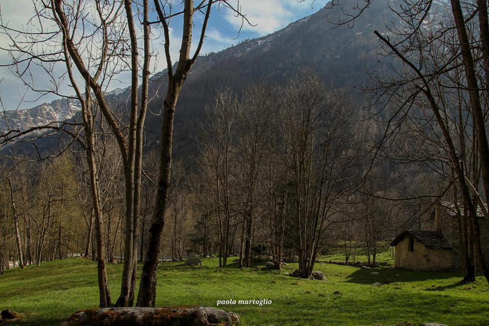 La Mura' - Il Vostro Posto Nel Gran Paradiso Ronco Canavese Exterior photo